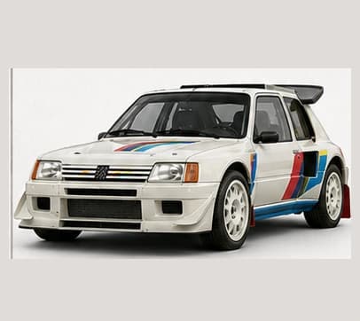 Peugeot 205 T16 Evo 2 car image
