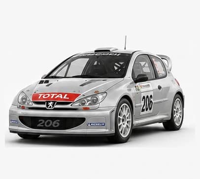 Peugeot 206 Rally car image