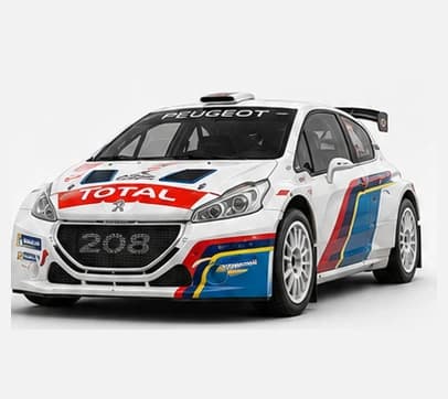 Peugeot 208 R5 T16 car image